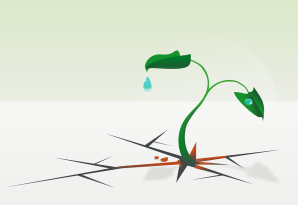 resilencia-148608_960_720